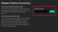 Type in the code and click "Redeem" (Image via Roblox)